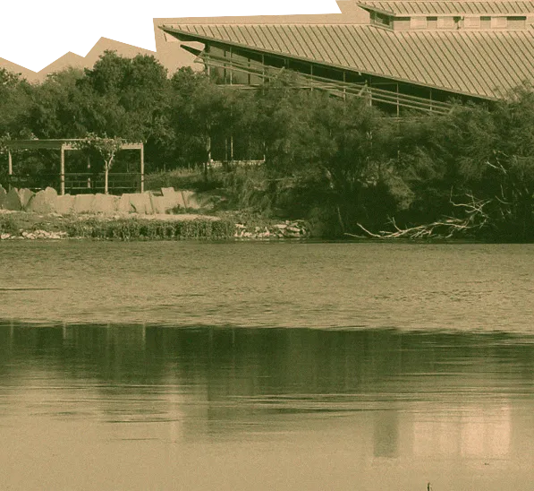 Roots Break Walls Part II: Rooting Abundance