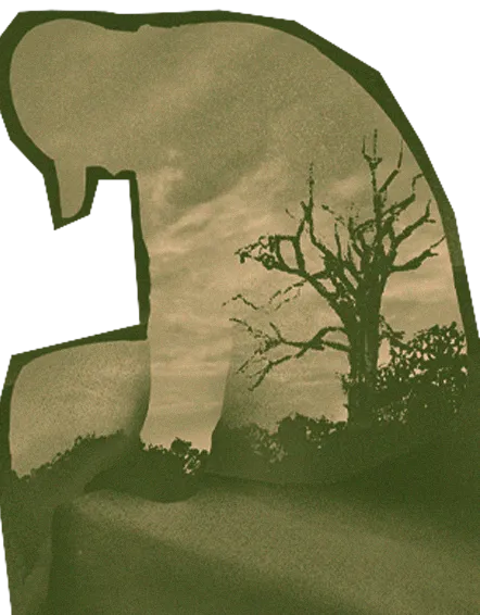 Latino Men at Higher Risk of Suicide