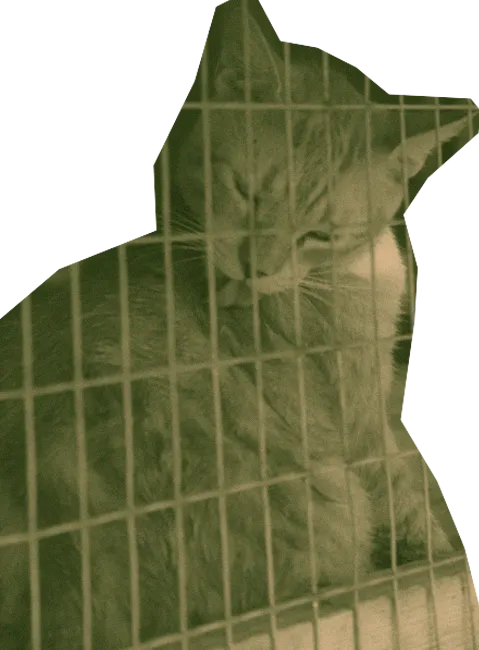 La Ciudad de Sullivan: Un Refugio para Animales