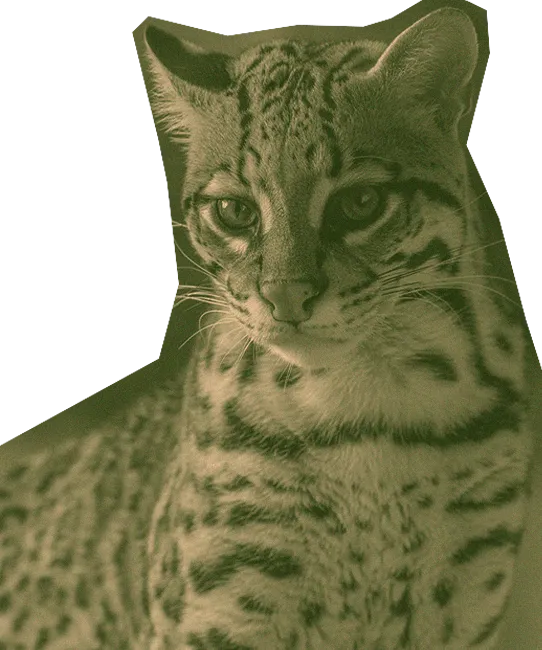 Biden Administration Plans to Continue Border Wall in RGV