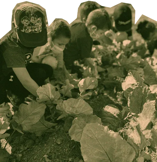 What to Grow in the RGV’s Food Deserts? Community, Collaboration and Support