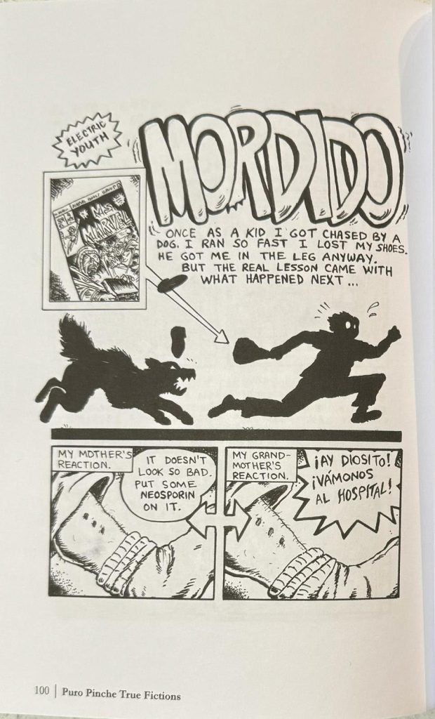 Comic showcasing a story about a young kid who got bit by a dog.