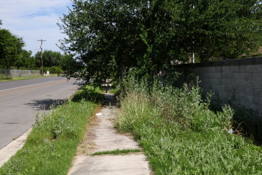 A sidewalk covered by low-hanging trees and tall grasses.