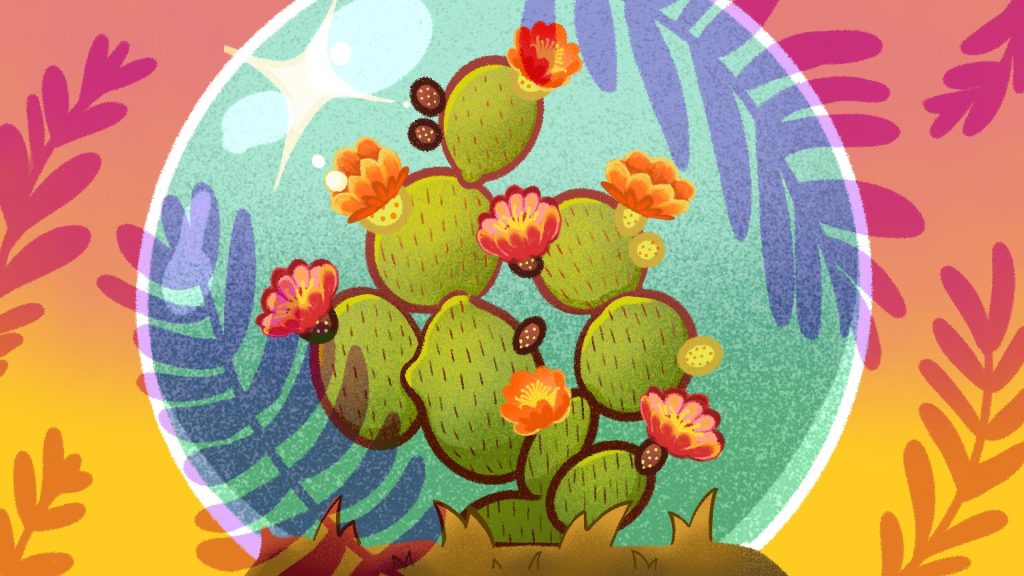 A blooming nopal cactus in a glass dome. The cactus is blooming bright red and orange flowers.