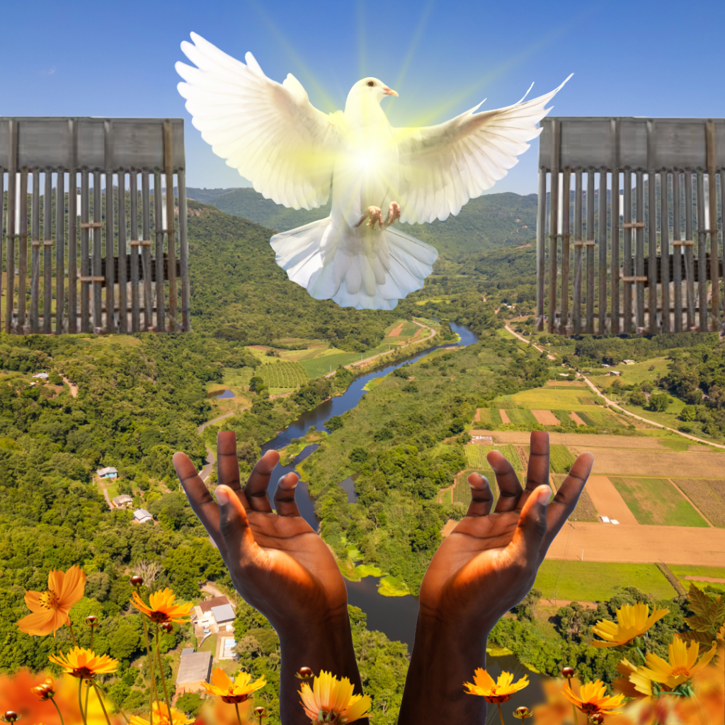 A person releasing a white dove into the sky, a symbol of peace and hope.