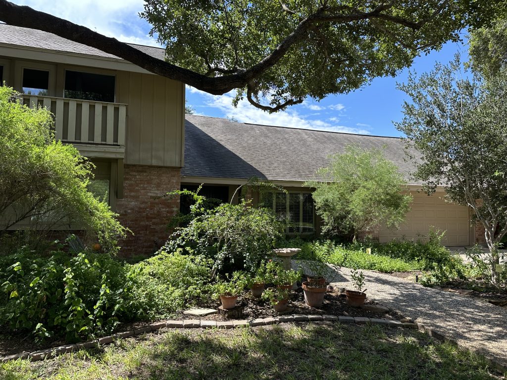 Native plant landscape on a front lawn in McAllen, Texas.