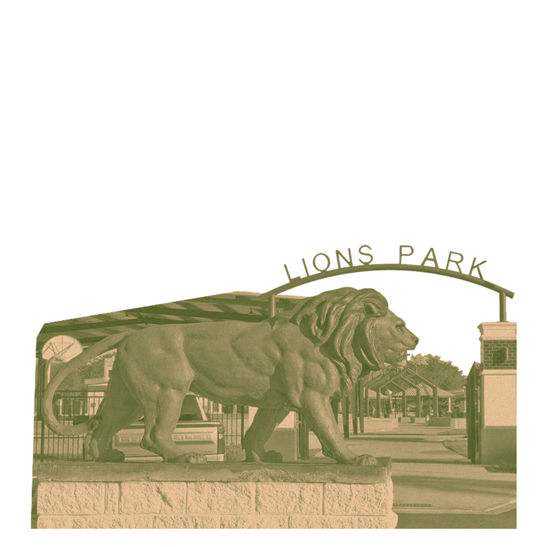 Lions Park: Built for Inclusivity