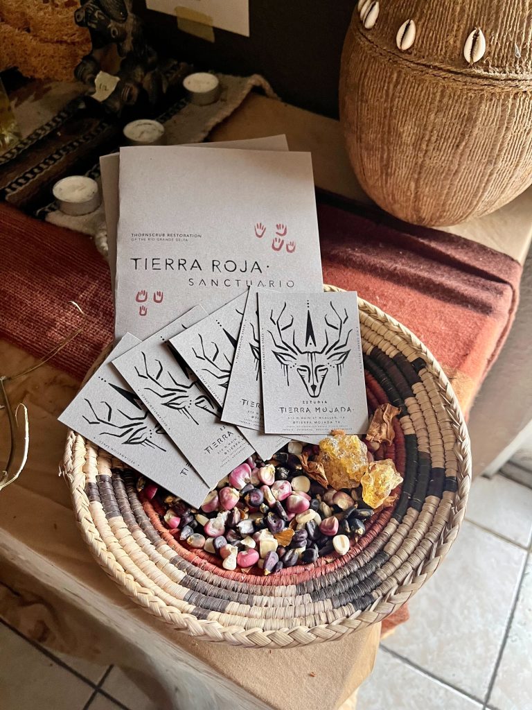 Gray pamphlets in a woven basket adorned with corn.