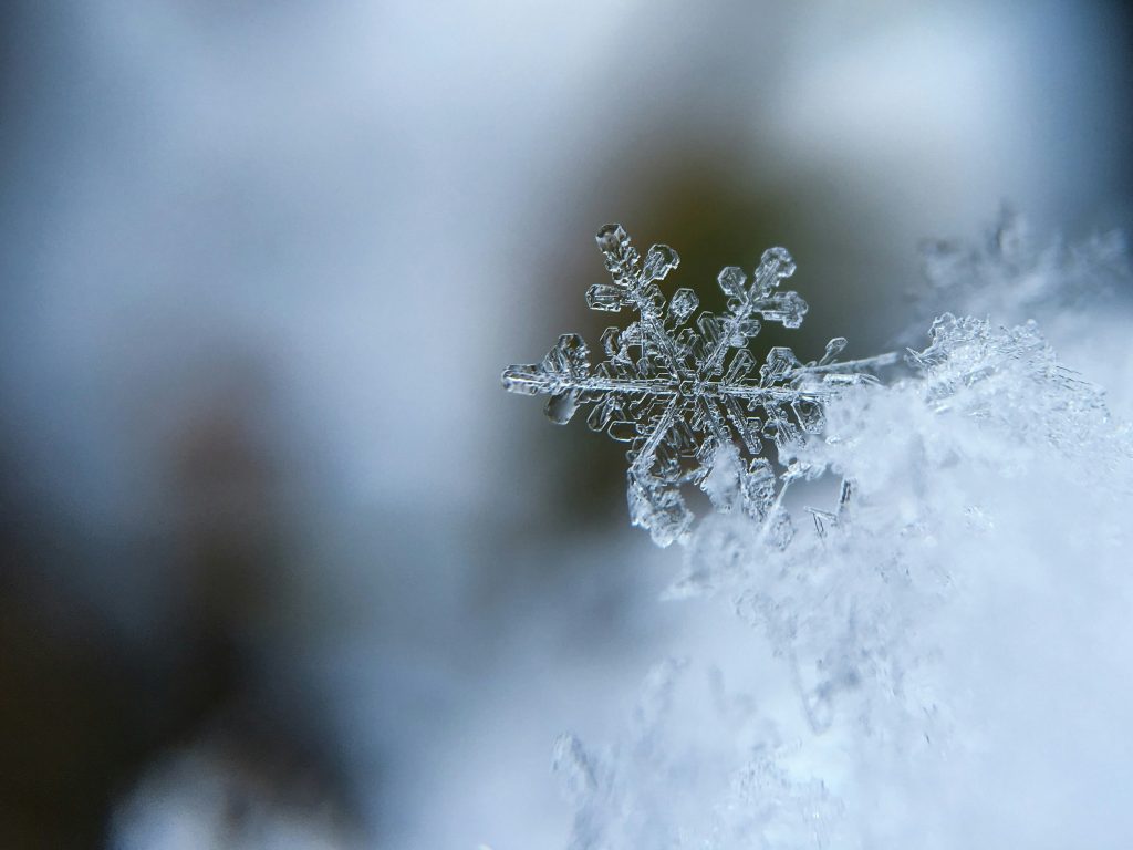 Winter snowflake in the RGV