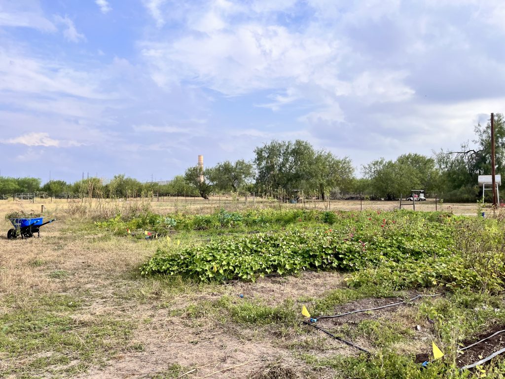 A view of a small farm.